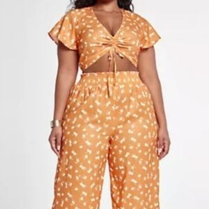 🌟 2 PIECE! Fashion To Figure 2 Piece Set 2x